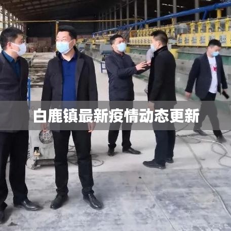 白鹿鎮(zhèn)最新疫情動(dòng)態(tài)更新