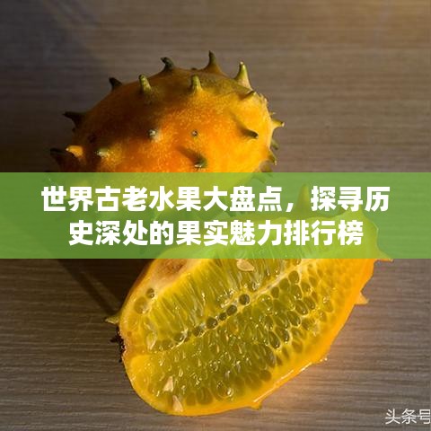 世界古老水果大盤點，探尋歷史深處的果實魅力排行榜