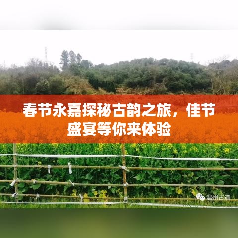 春節(jié)永嘉探秘古韻之旅，佳節(jié)盛宴等你來體驗(yàn)