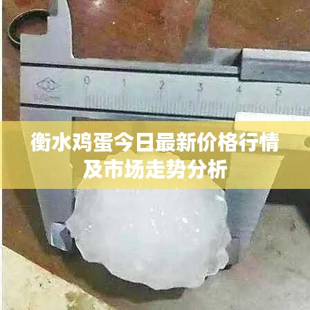 衡水雞蛋今日最新價格行情及市場走勢分析