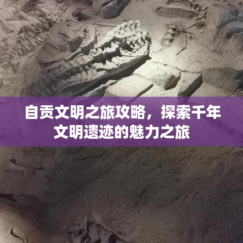 自貢文明之旅攻略，探索千年文明遺跡的魅力之旅