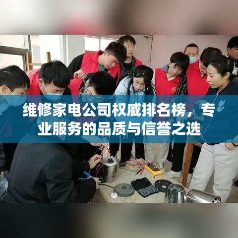 維修家電公司權(quán)威排名榜，專業(yè)服務(wù)的品質(zhì)與信譽(yù)之選