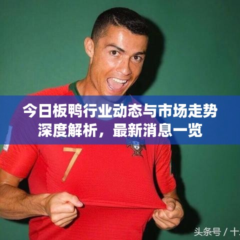 今日板鴨行業(yè)動(dòng)態(tài)與市場(chǎng)走勢(shì)深度解析，最新消息一覽