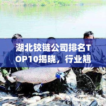 湖北鉸鏈公司排名TOP10揭曉，行業(yè)翹楚引領(lǐng)發(fā)展潮流