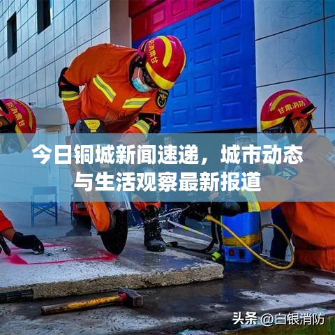 今日銅城新聞速遞，城市動態(tài)與生活觀察最新報道