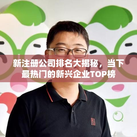 新注冊(cè)公司排名大揭秘，當(dāng)下最熱門的新興企業(yè)TOP榜