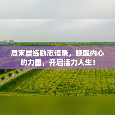 周末晨練勵(lì)志語錄，喚醒內(nèi)心的力量，開啟活力人生！
