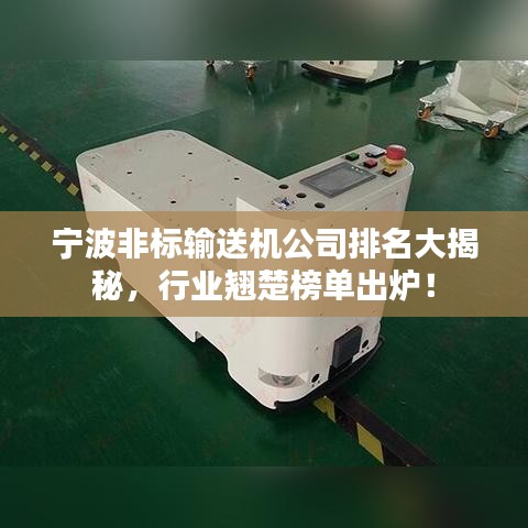 寧波非標(biāo)輸送機(jī)公司排名大揭秘，行業(yè)翹楚榜單出爐！