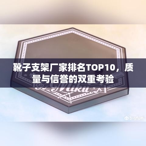 靴子支架廠家排名TOP10，質(zhì)量與信譽的雙重考驗