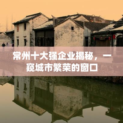 常州十大強企業(yè)揭秘，一窺城市繁榮的窗口