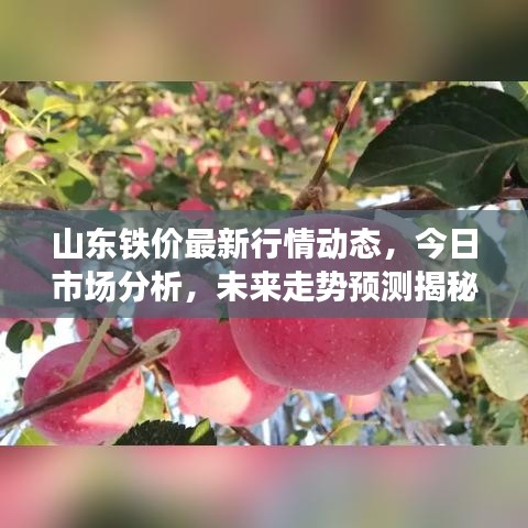 山東鐵價最新行情動態(tài)，今日市場分析，未來走勢預測揭秘