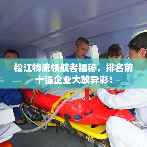 松江物流領(lǐng)航者揭秘，排名前十強企業(yè)大放異彩！
