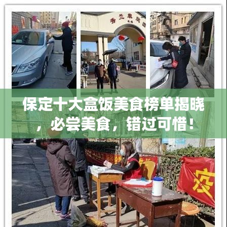保定十大盒飯美食榜單揭曉，必嘗美食，錯過可惜！