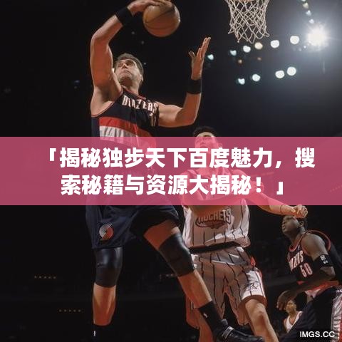 「揭秘獨步天下百度魅力，搜索秘籍與資源大揭秘！」