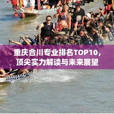 重慶合川專業(yè)排名TOP10，頂尖實力解讀與未來展望