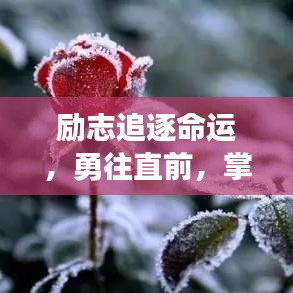 勵志追逐命運(yùn)，勇往直前，掌握命運(yùn)之舵