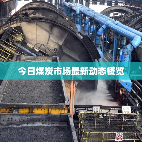 今日煤炭市場最新動態(tài)概覽