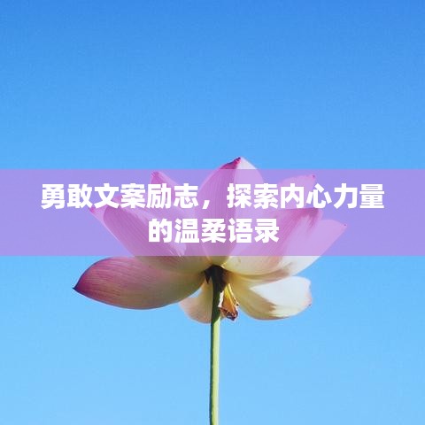 勇敢文案勵志，探索內(nèi)心力量的溫柔語錄