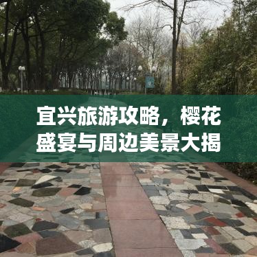 宜興旅游攻略，櫻花盛宴與周邊美景大揭秘！