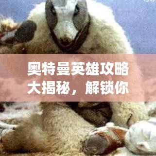 奧特曼英雄攻略大揭秘，解鎖你的英雄之路之旅