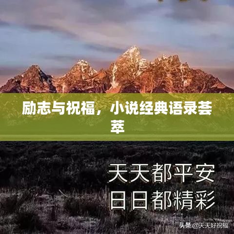 勵志與祝福，小說經(jīng)典語錄薈萃