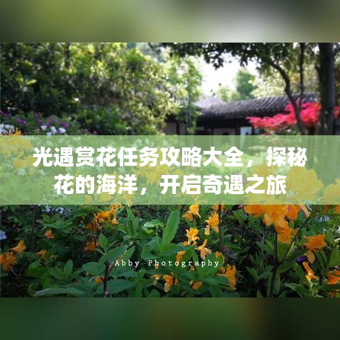 光遇賞花任務(wù)攻略大全，探秘花的海洋，開啟奇遇之旅