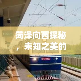 菏澤向西探秘，未知之美的旅游攻略