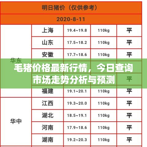 毛豬價(jià)格最新行情，今日查詢市場走勢分析與預(yù)測