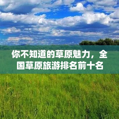你不知道的草原魅力，全國草原旅游排名前十名探秘