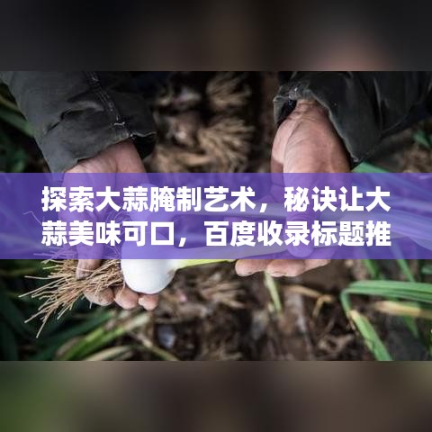 探索大蒜腌制藝術(shù)，秘訣讓大蒜美味可口，百度收錄標題推薦