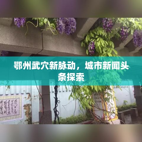 鄂州武穴新脈動(dòng)，城市新聞?lì)^條探索