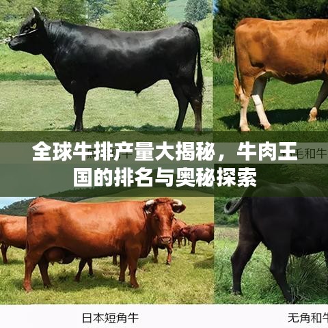 全球牛排產(chǎn)量大揭秘，牛肉王國的排名與奧秘探索