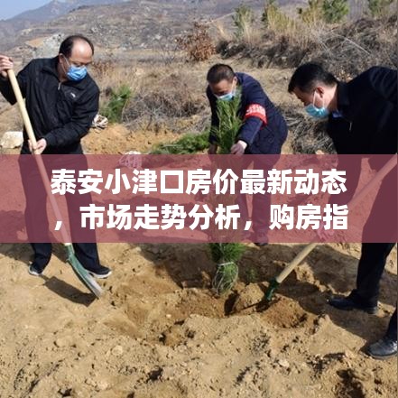 泰安小津口房?jī)r(jià)最新動(dòng)態(tài)，市場(chǎng)走勢(shì)分析，購(gòu)房指南全解析