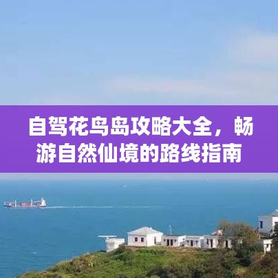 自駕花鳥島攻略大全，暢游自然仙境的路線指南