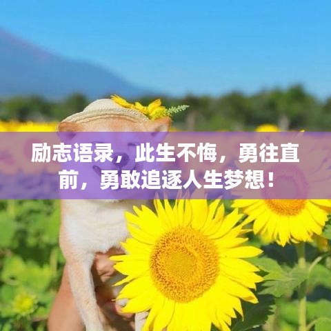 勵志語錄，此生不悔，勇往直前，勇敢追逐人生夢想！
