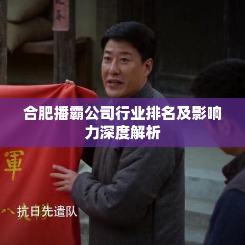合肥播霸公司行業(yè)排名及影響力深度解析