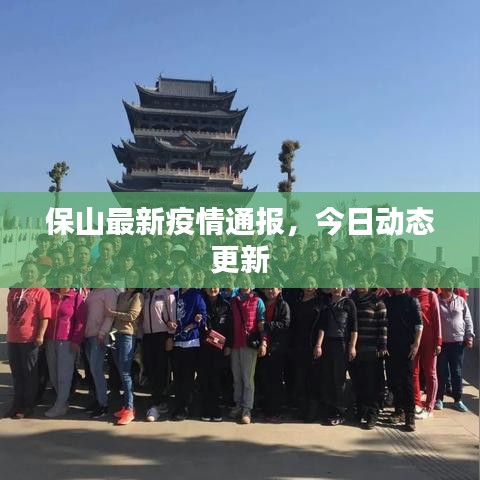 鳳凰于飛 第2頁