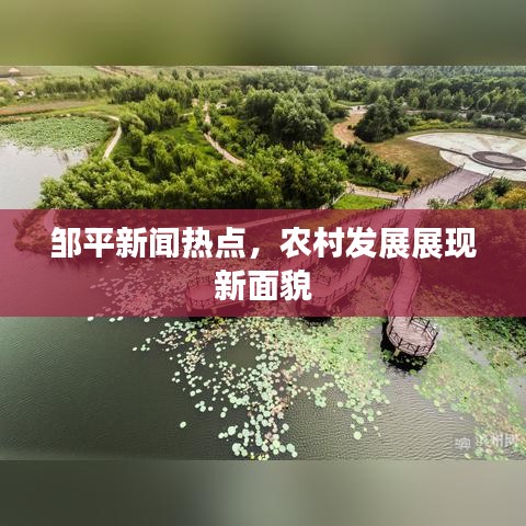 鄒平新聞熱點(diǎn)，農(nóng)村發(fā)展展現(xiàn)新面貌