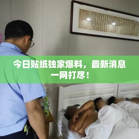 今日貼紙獨(dú)家爆料，最新消息一網(wǎng)打盡！