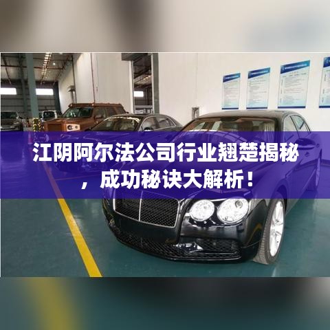 江陰阿爾法公司行業(yè)翹楚揭秘，成功秘訣大解析！