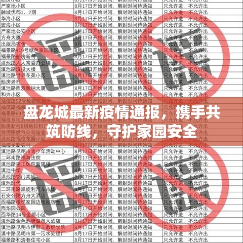 盤龍城最新疫情通報(bào)，攜手共筑防線，守護(hù)家園安全