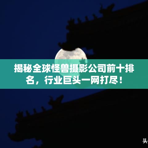 揭秘全球怪獸攝影公司前十排名，行業(yè)巨頭一網(wǎng)打盡！