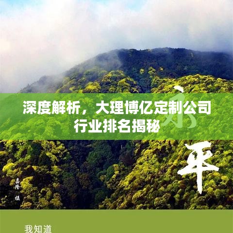 深度解析，大理博億定制公司行業(yè)排名揭秘