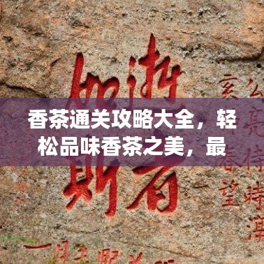 香茶通關(guān)攻略大全，輕松品味香茶之美，最新指南助你暢享茶道之旅！