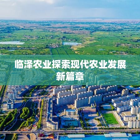 臨澤農(nóng)業(yè)探索現(xiàn)代農(nóng)業(yè)發(fā)展新篇章