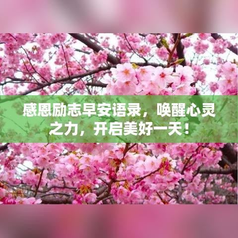 感恩勵志早安語錄，喚醒心靈之力，開啟美好一天！