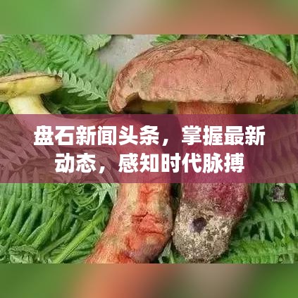 盤石新聞頭條，掌握最新動態(tài)，感知時代脈搏
