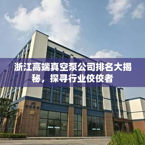 浙江高端真空泵公司排名大揭秘，探尋行業(yè)佼佼者
