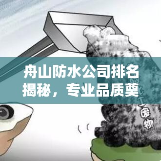 舟山防水公司排名揭秘，專業(yè)品質(zhì)奠定行業(yè)地位
