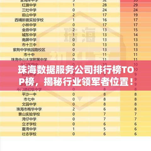珠海數(shù)據(jù)服務公司排行榜TOP榜，揭秘行業(yè)領軍者位置！